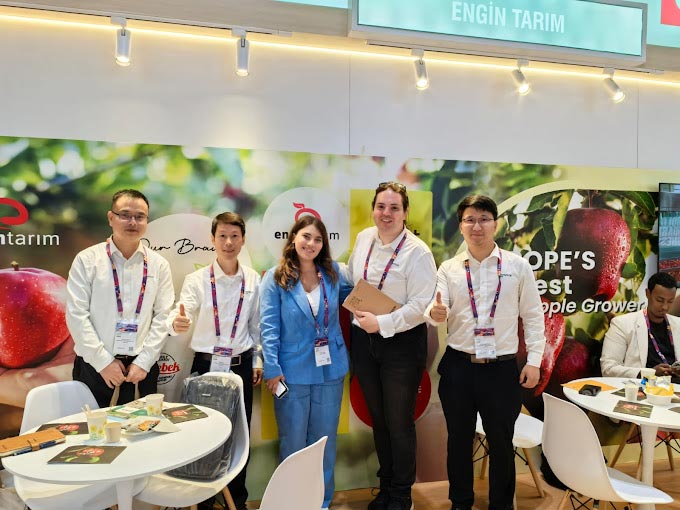 Sözlü Çince Çeviri